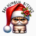Bah Humbug Bitches PNG – Grumpy Cat Christmas Clipart | Funny Sassy Holiday Sublimation Design