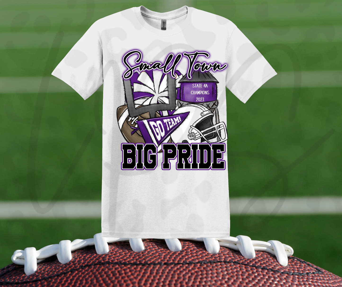 Anna State Champions 2023 Shirt