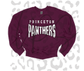 Princeton Panthers Hoodie – Rep Your Panthers Pride in Ultimate Game Day Comfort