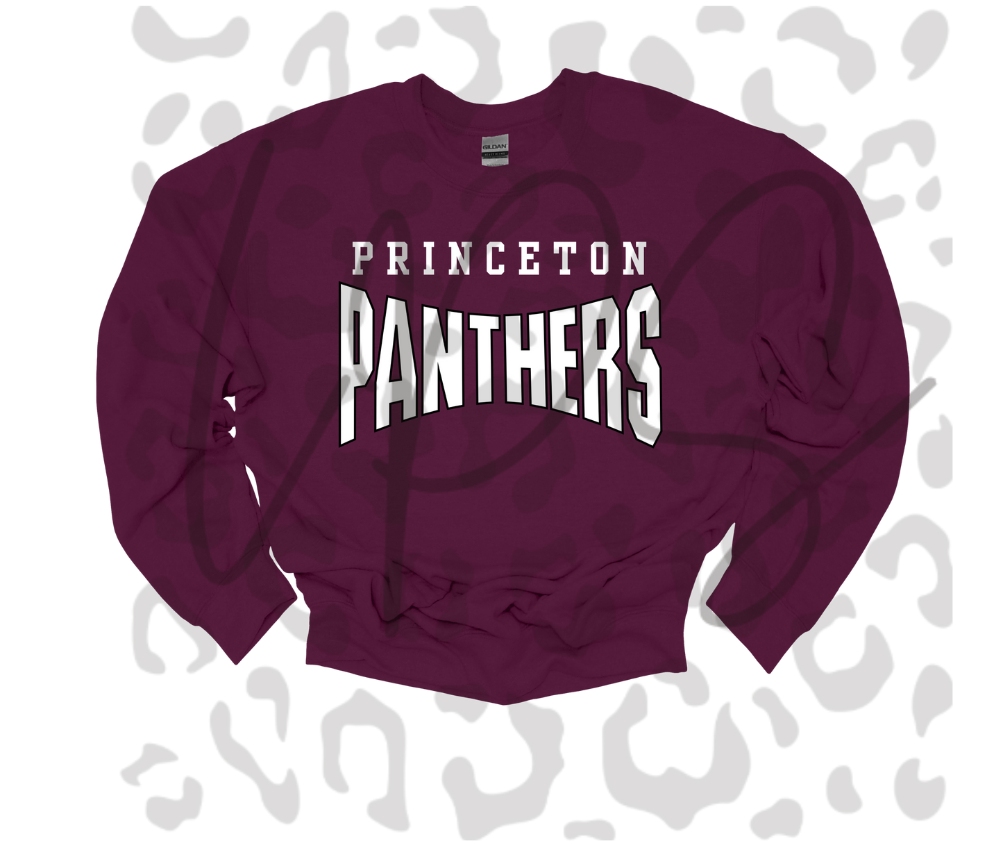 Princeton Panthers Hoodie