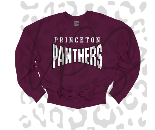 Princeton Panthers Hoodie