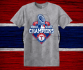 World Series Champions 2023